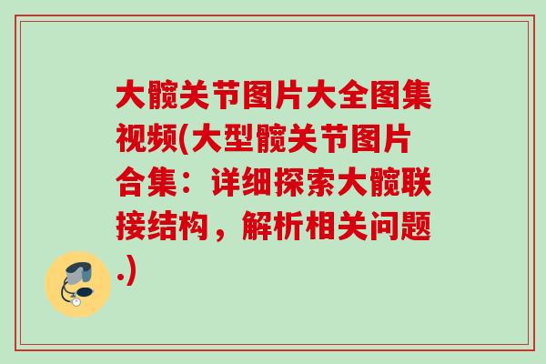 大髋关节图片大全图集视频(大型髋关节图片合集：详细探索大髋联接结构，解析相关问题.)
