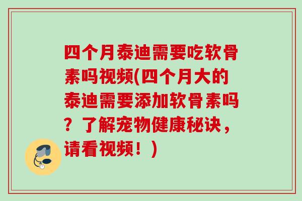 四个月泰迪需要吃软骨素吗视频(四个月大的泰迪需要添加软骨素吗？了解宠物健康秘诀，请看视频！)