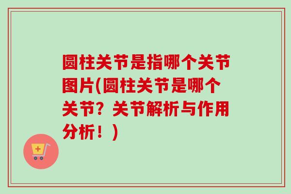 圆柱关节是指哪个关节图片(圆柱关节是哪个关节？关节解析与作用分析！)