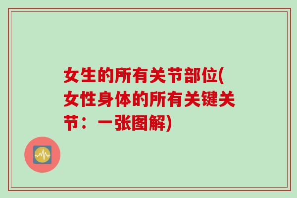 女生的所有关节部位(女性身体的所有关键关节：一张图解)