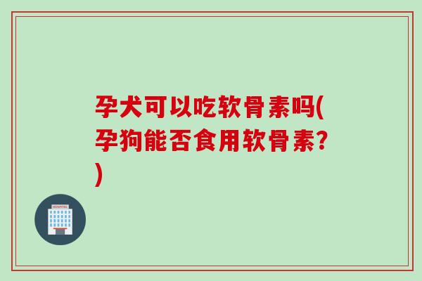 孕犬可以吃软骨素吗(孕狗能否食用软骨素？)