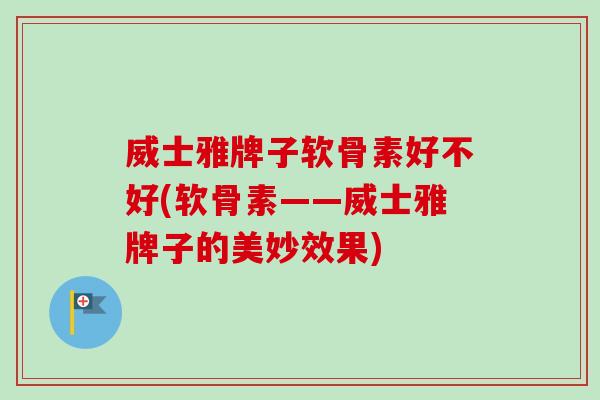 威士雅牌子软骨素好不好(软骨素——威士雅牌子的美妙效果)
