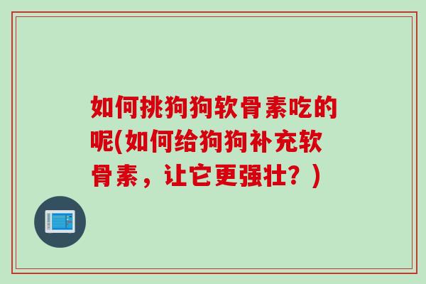 如何挑狗狗软骨素吃的呢(如何给狗狗补充软骨素，让它更强壮？)