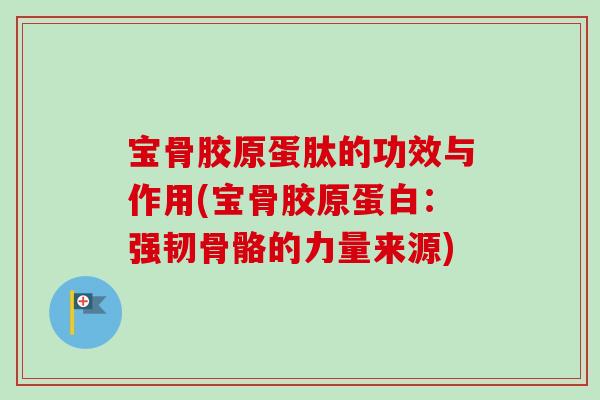 宝骨胶原蛋肽的功效与作用(宝骨胶原蛋白：强韧骨骼的力量来源)