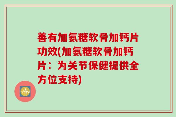 善有加氨糖软骨加钙片功效(加氨糖软骨加钙片：为关节保健提供全方位支持)