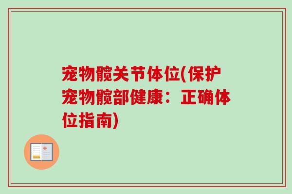 宠物髋关节体位(保护宠物髋部健康：正确体位指南)