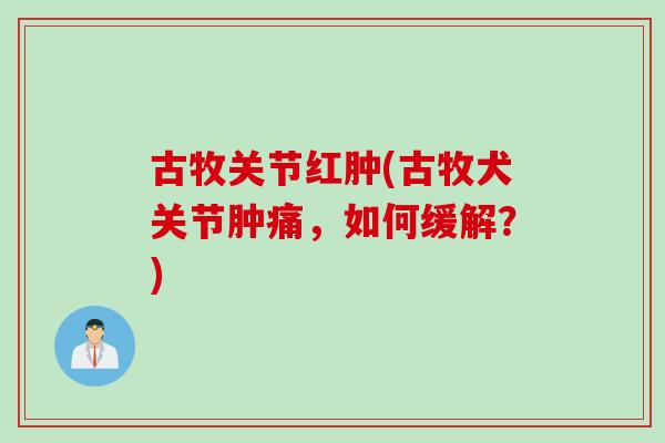 古牧关节红肿(古牧犬关节肿痛，如何缓解？)