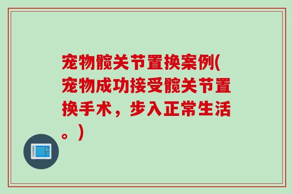 宠物髋关节置换案例(宠物成功接受髋关节置换手术，步入正常生活。)
