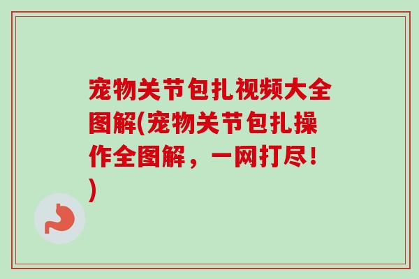 宠物关节包扎视频大全图解(宠物关节包扎操作全图解，一网打尽！)