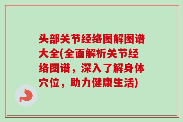 头部关节经络图解图谱大全(全面解析关节经络图谱，深入了解身体穴位，助力健康生活)
