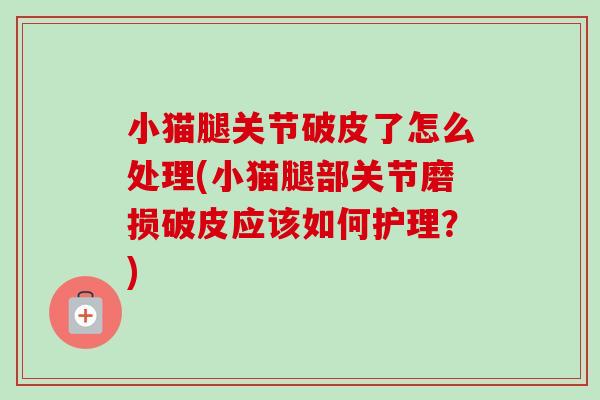 小猫腿关节破皮了怎么处理(小猫腿部关节磨损破皮应该如何护理?) 小猫腿关节破皮了怎么处理(小猫腿部关节磨损破皮应该如何护理?)