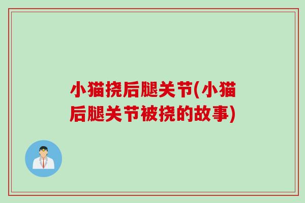 小猫挠后腿关节(小猫后腿关节被挠的故事)
