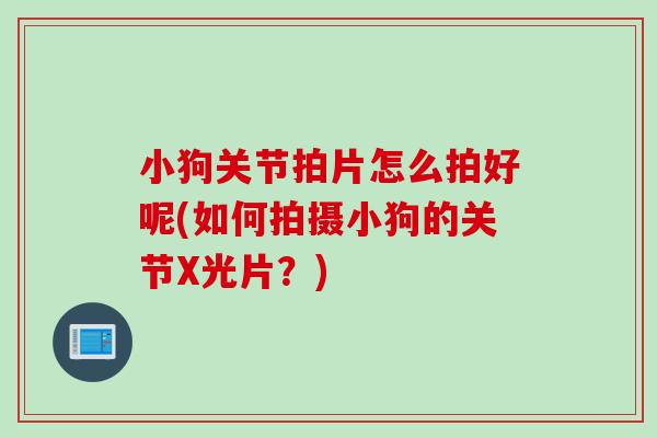 小狗关节拍片怎么拍好呢(如何拍摄小狗的关节X光片？)