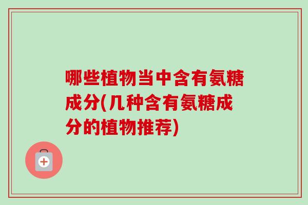 哪些植物当中含有氨糖成分(几种含有氨糖成分的植物推荐)