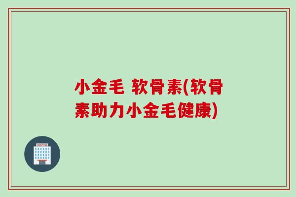 小金毛 软骨素(软骨素助力小金毛健康)