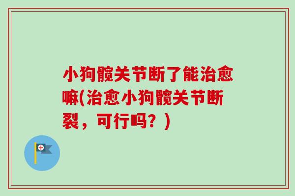 小狗髋关节断了能治愈嘛(治愈小狗髋关节断裂，可行吗？)