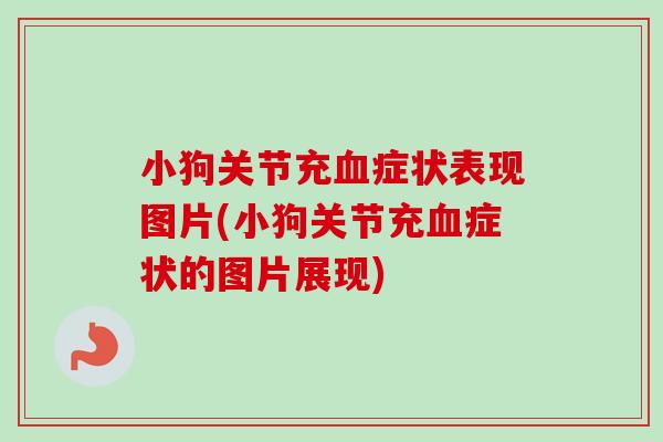 小狗关节充血症状表现图片(小狗关节充血症状的图片展现)