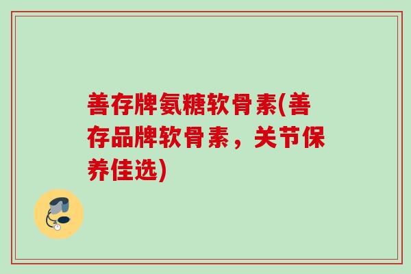 善存牌氨糖软骨素(善存品牌软骨素，关节保养佳选)