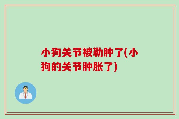 小狗关节被勒肿了(小狗的关节肿胀了)