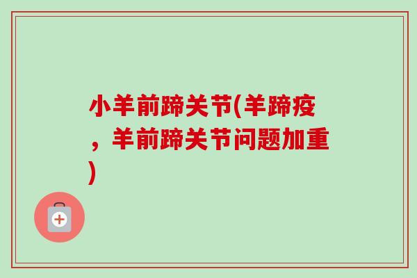 小羊前蹄关节(羊蹄疫,羊前蹄关节问题加重) 小羊前蹄关节(羊蹄疫,羊前蹄关节问题加重)