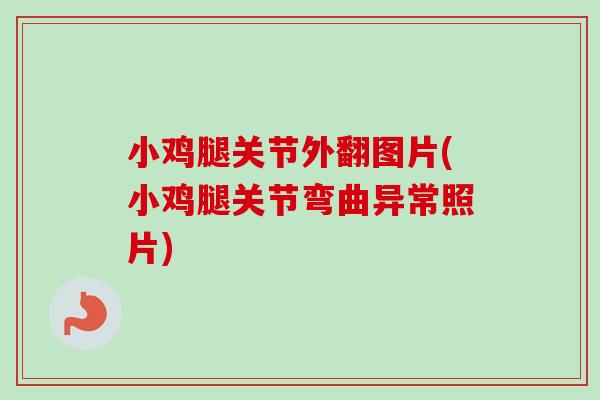 小鸡腿关节外翻图片(小鸡腿关节弯曲异常照片)