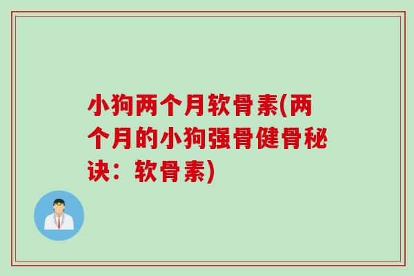 小狗两个月软骨素(两个月的小狗强骨健骨秘诀：软骨素)