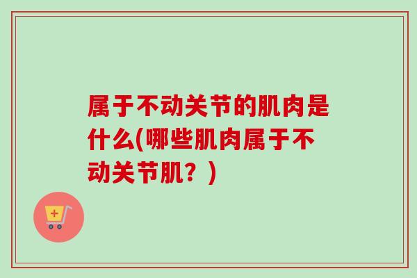 属于不动关节的肌肉是什么(哪些肌肉属于不动关节肌？)