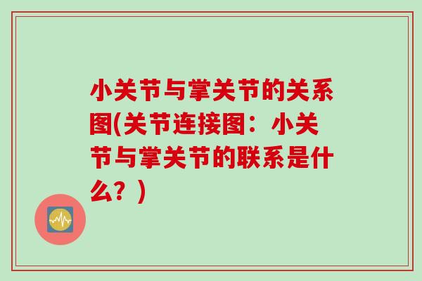 小关节与掌关节的关系图(关节连接图：小关节与掌关节的联系是什么？)