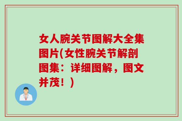 女人腕关节图解大全集图片(女性腕关节解剖图集：详细图解，图文并茂！)