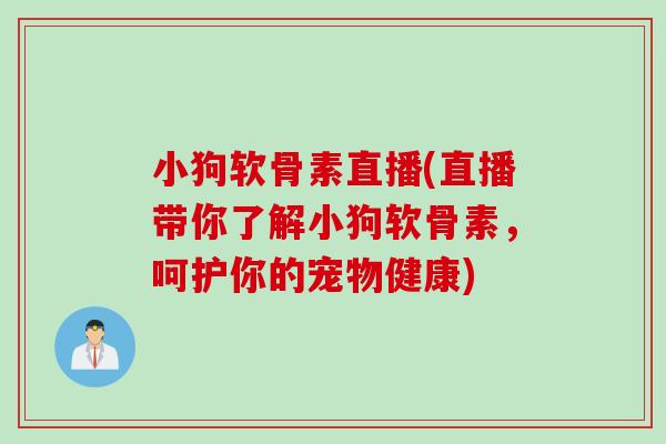 小狗软骨素直播(直播带你了解小狗软骨素，呵护你的宠物健康)