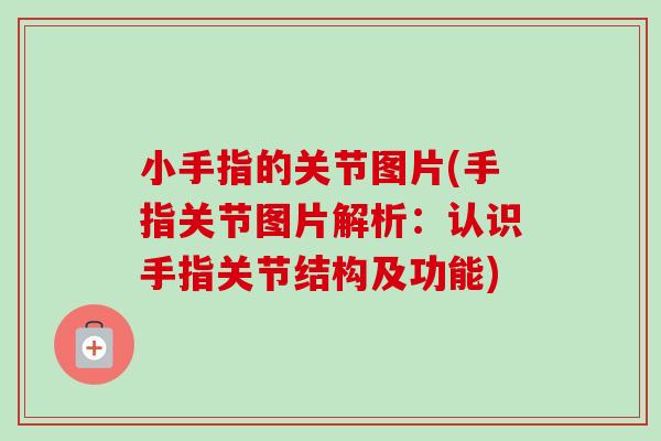 小手指的关节图片(手指关节图片解析：认识手指关节结构及功能)