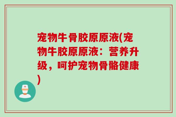 宠物牛骨胶原原液(宠物牛胶原原液：营养升级，呵护宠物骨骼健康)