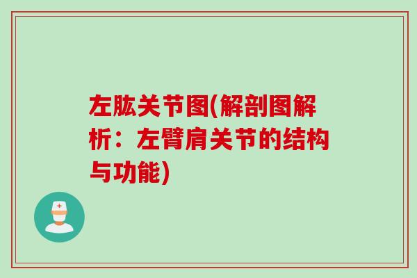 左肱关节图(解剖图解析：左臂肩关节的结构与功能)