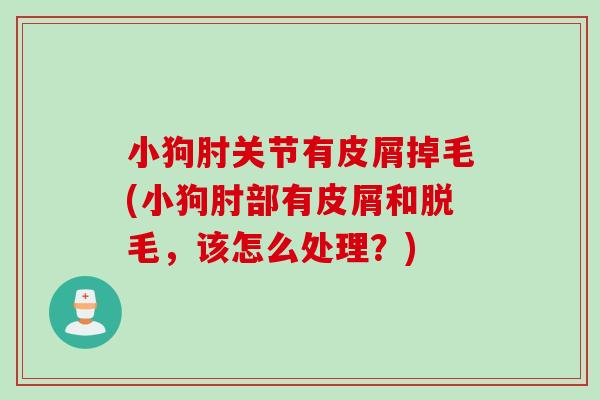 小狗肘关节有皮屑掉毛(小狗肘部有皮屑和脱毛，该怎么处理？)
