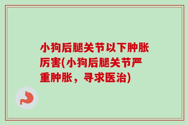 小狗后腿关节以下肿胀厉害(小狗后腿关节严重肿胀，寻求医治)
