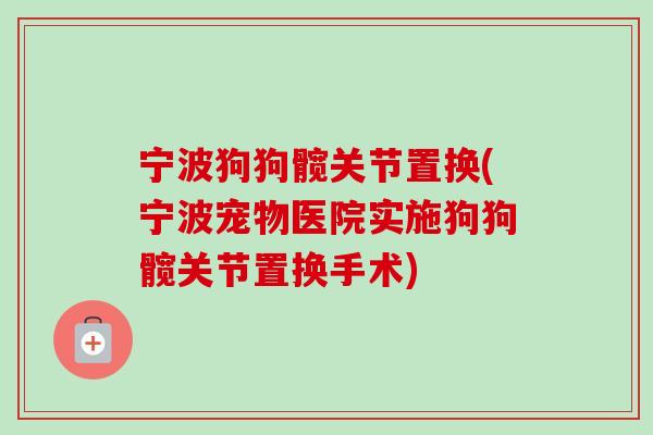 宁波狗狗髋关节置换(宁波宠物医院实施狗狗髋关节置换手术)