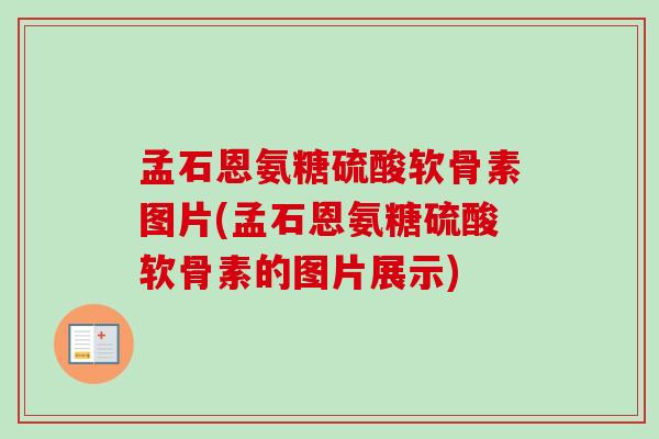 孟石恩氨糖硫酸软骨素图片(孟石恩氨糖硫酸软骨素的图片展示)