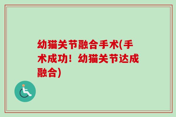 幼猫关节融合手术(手术成功！幼猫关节达成融合)