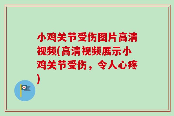 小鸡关节受伤图片高清视频(高清视频展示小鸡关节受伤，令人心疼)
