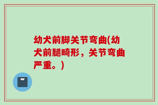幼犬前脚关节弯曲(幼犬前腿畸形，关节弯曲严重。)