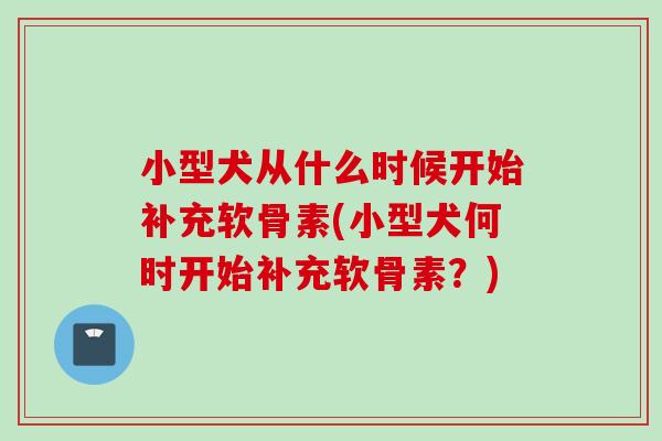 小型犬从什么时候开始补充软骨素(小型犬何时开始补充软骨素？)