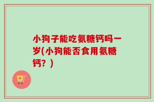 小狗子能吃氨糖钙吗一岁(小狗能否食用氨糖钙？)