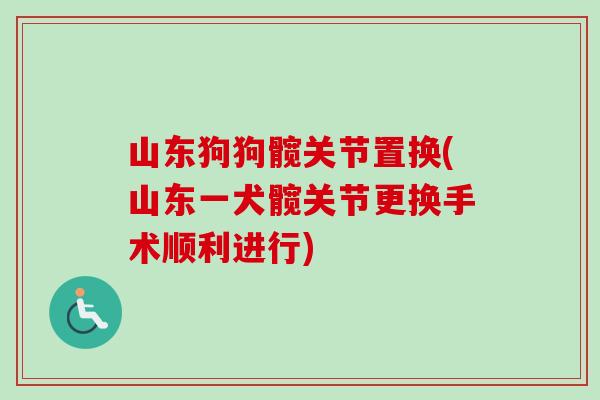 山东狗狗髋关节置换(山东一犬髋关节更换手术顺利进行)