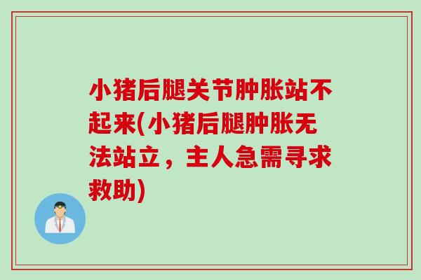 小猪后腿关节肿胀站不起来(小猪后腿肿胀无法站立，主人急需寻求救助)