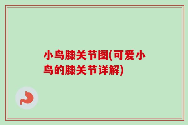 小鸟膝关节图(可爱小鸟的膝关节详解)