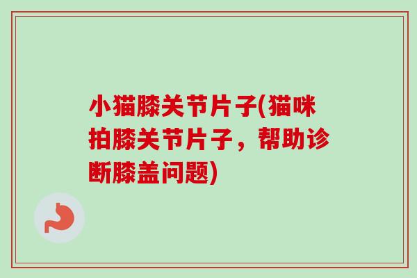 小猫膝关节片子(猫咪拍膝关节片子，帮助诊断膝盖问题)