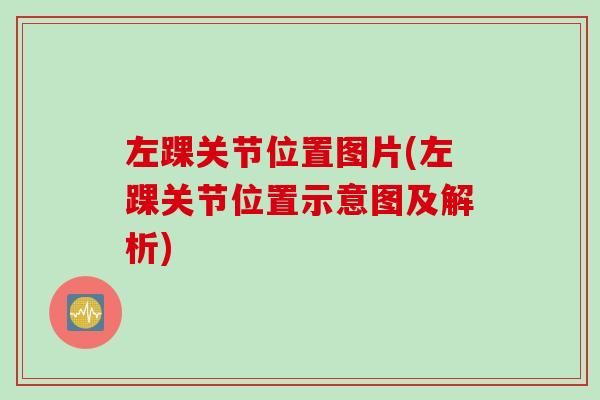 左踝关节位置图片(左踝关节位置示意图及解析)