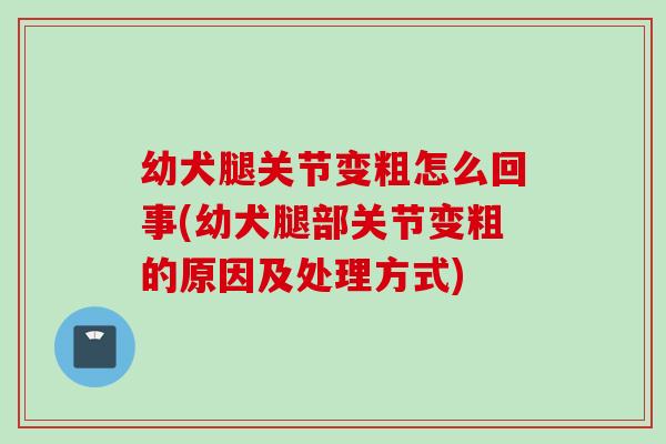 幼犬腿关节变粗怎么回事(幼犬腿部关节变粗的原因及处理方式)