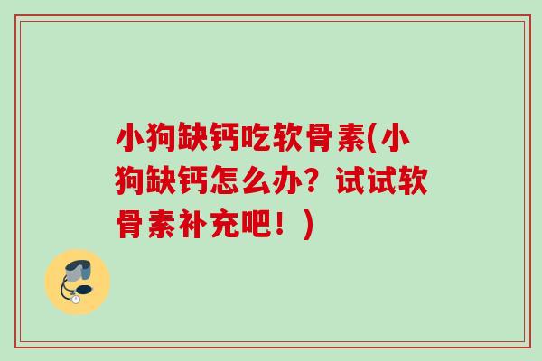 小狗缺钙吃软骨素(小狗缺钙怎么办？试试软骨素补充吧！)