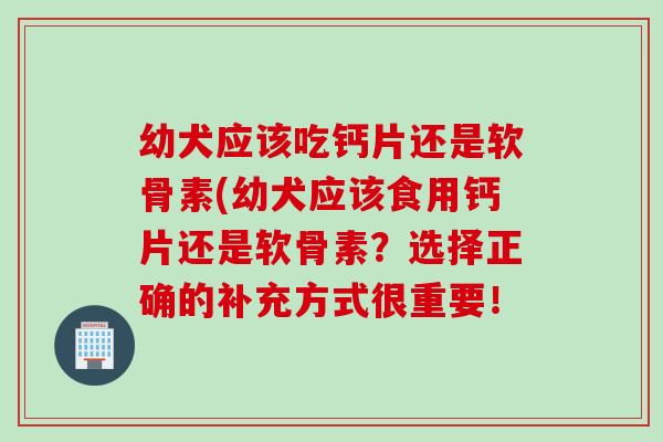 幼犬应该吃钙片还是软骨素(幼犬应该食用钙片还是软骨素？选择正确的补充方式很重要！